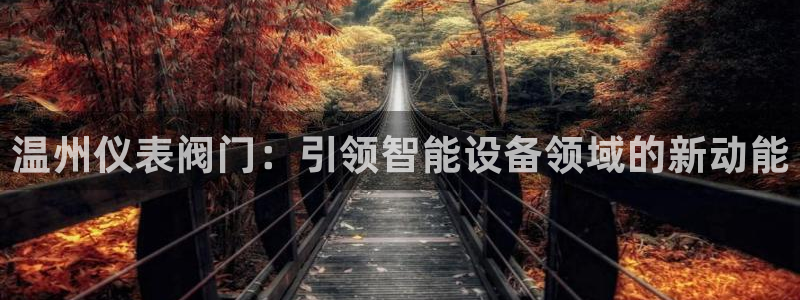 新宝奇迹GG