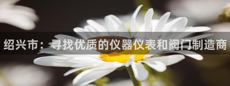 下载新宝gg怎么下载