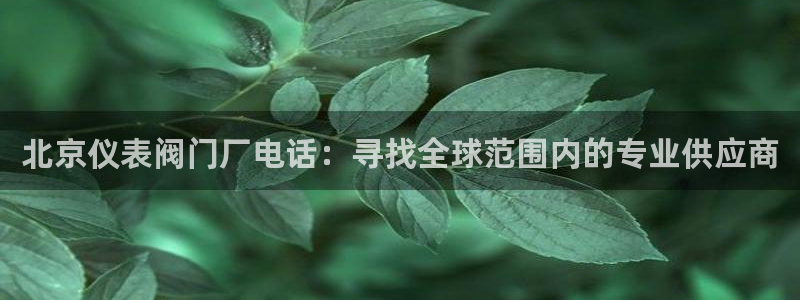 新宝gg—创造
