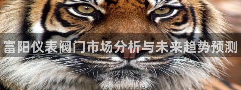 新宝 gg 下载