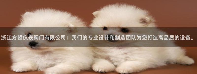 新宝gg为什么没人管