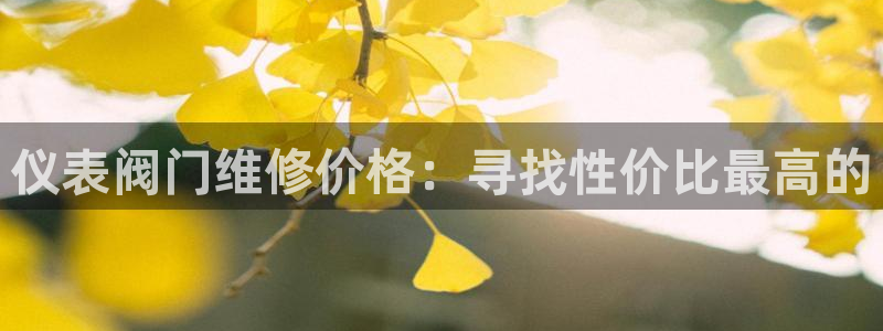 新宝gg如何赚钱