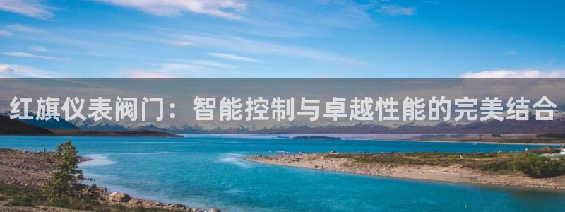 新宝gg主管开