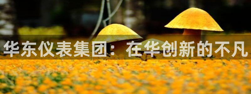 新宝gg_