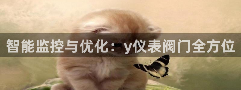 新宝gg工资