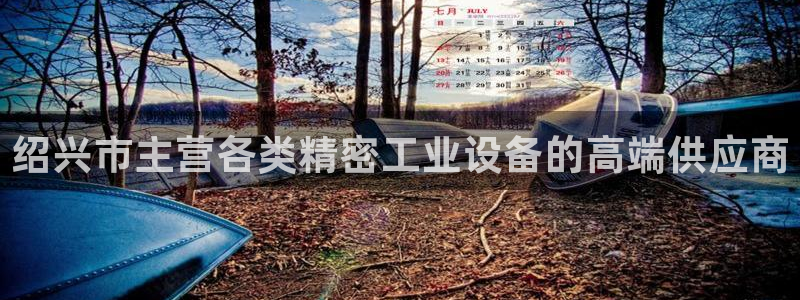新宝GG反点