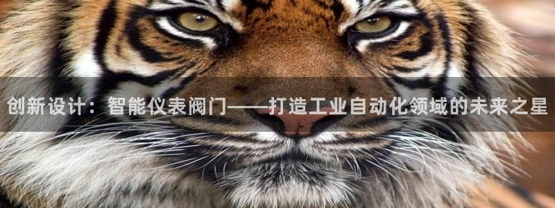新宝gg分红