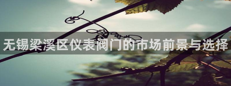 新宝GG手机客户端
