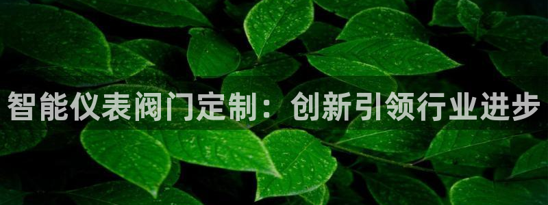 77新宝gg