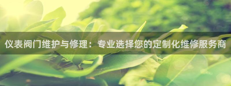 新宝gg手机