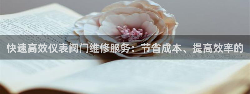 新宝gg 黑