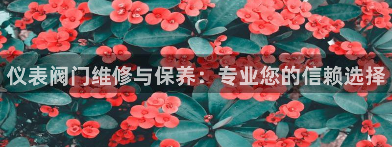 新宝哈哈gg