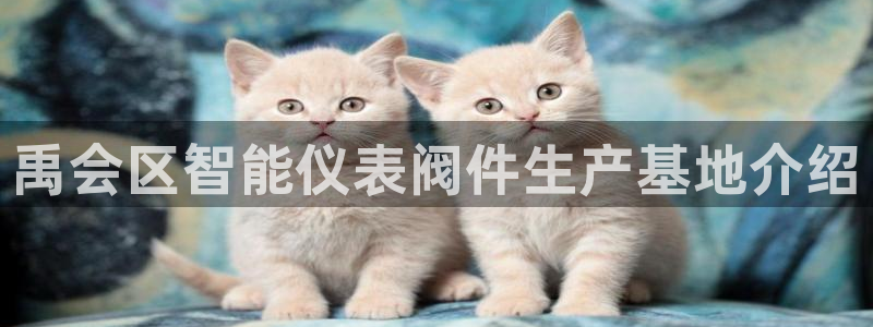 新宝gg创造奇迹登陆