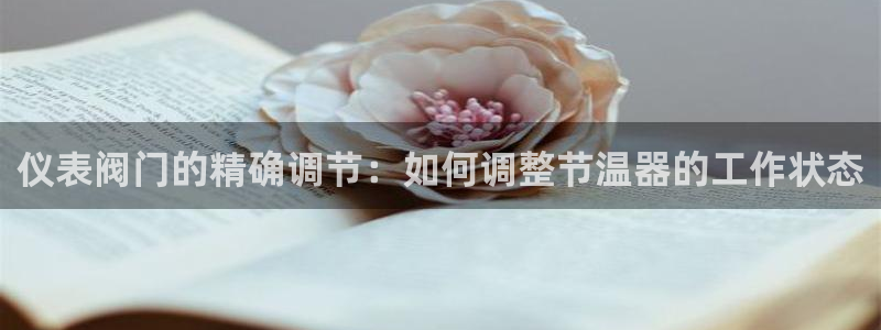 新宝gg好吗