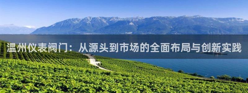 新宝gg龙腾