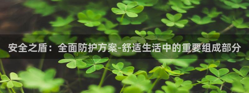 新宝gg什么
