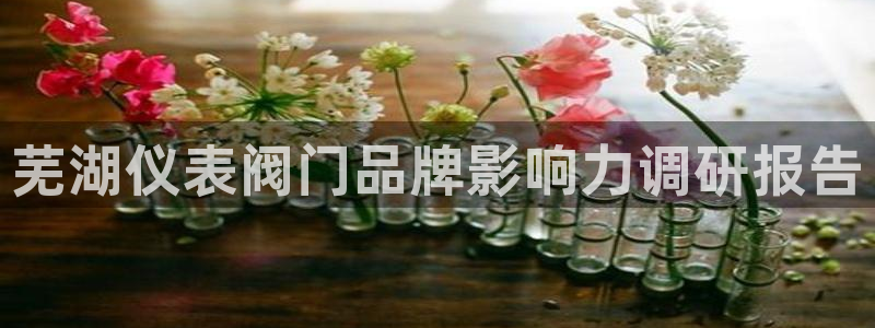 新宝gg系列