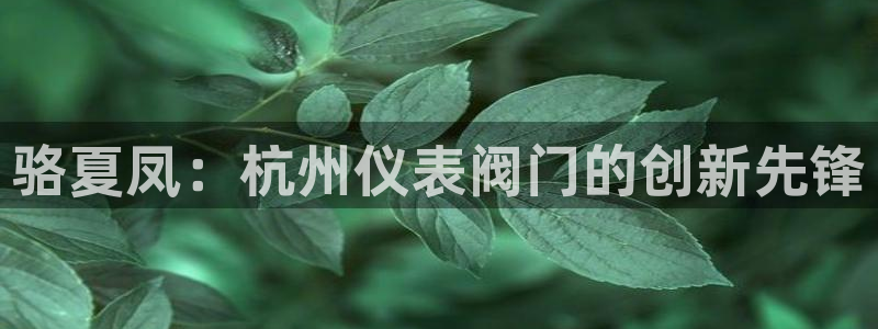 新宝gg app