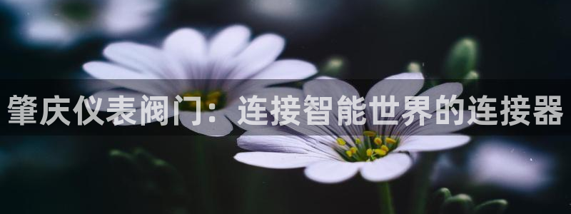 新宝测速gg