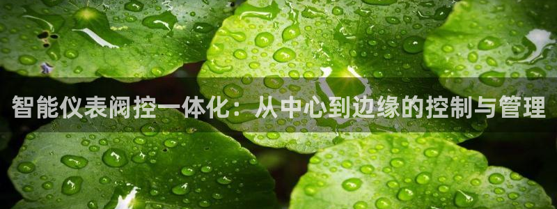 新宝gg主管、