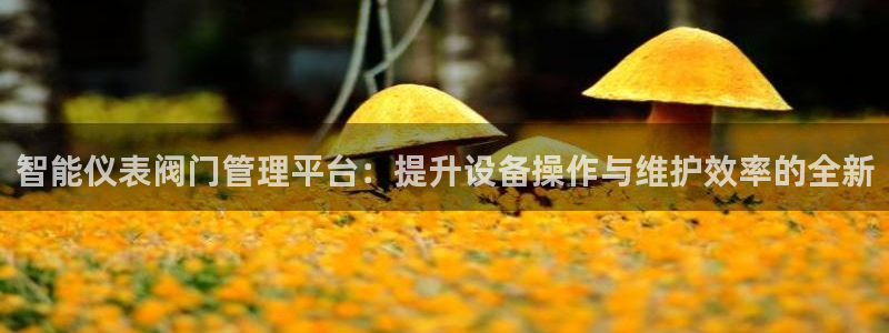 新宝gg登录平台