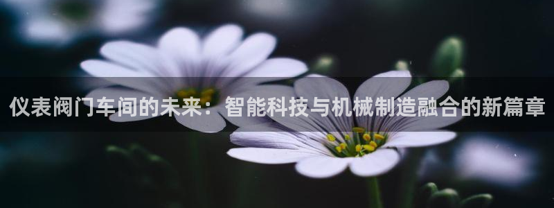新宝gg   创造奇迹