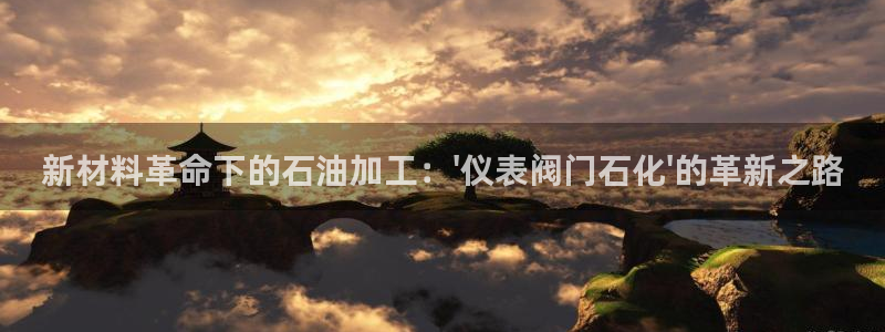 新宝gg介绍