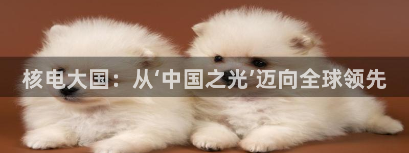 新宝gg手机版下载