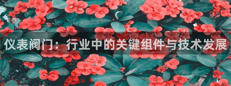 认准新宝gg