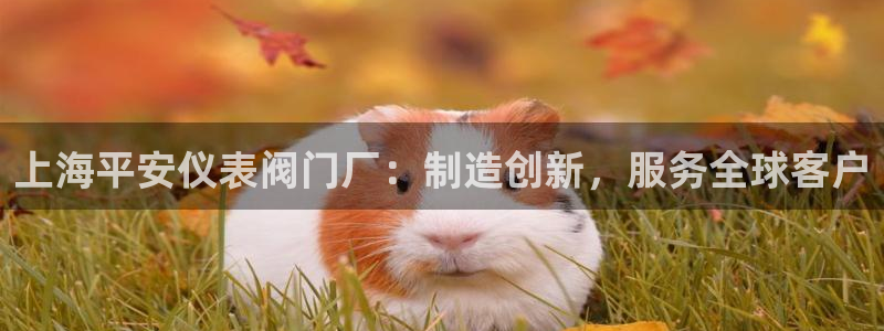 行新宝gg