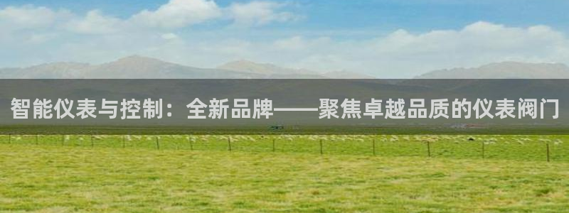 新宝gg玩法