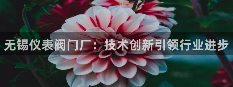 新宝gg手机助手