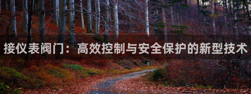 新宝新宝gg开户流程