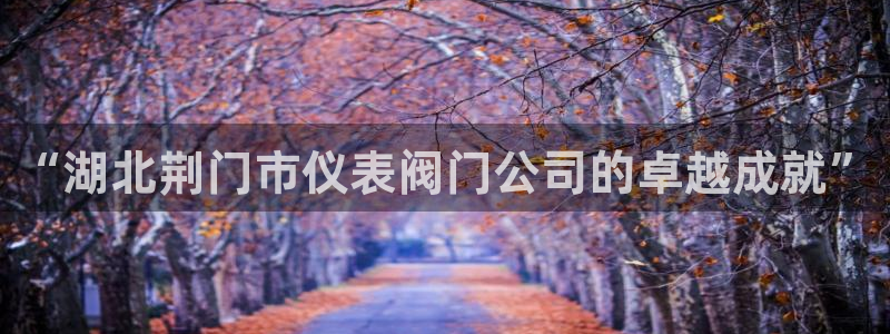 新宝注册gg平台