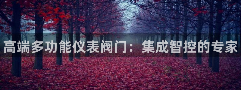 新宝gg娱乐注册