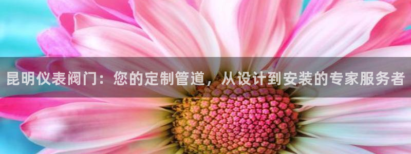 新宝_gg