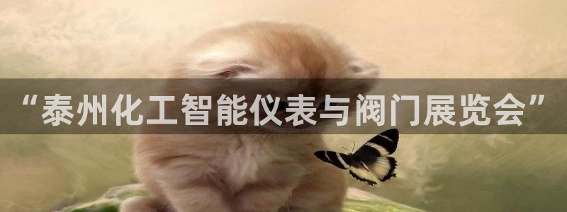 新宝gg重庆