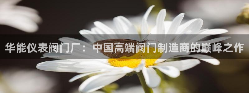 新宝gg总代理