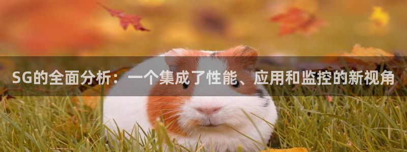 gg新宝创新