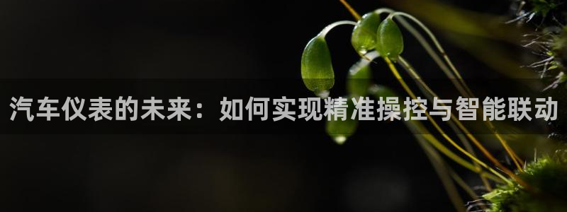 新宝gg可靠