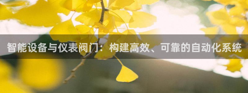 新宝gg群
