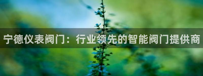 新宝时gg