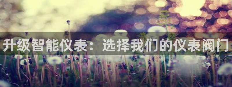 新宝gg手机登录