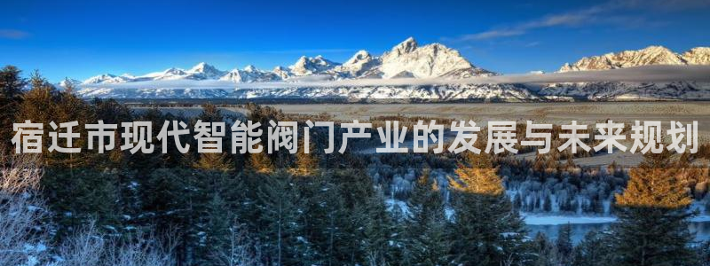 新宝gg正规
