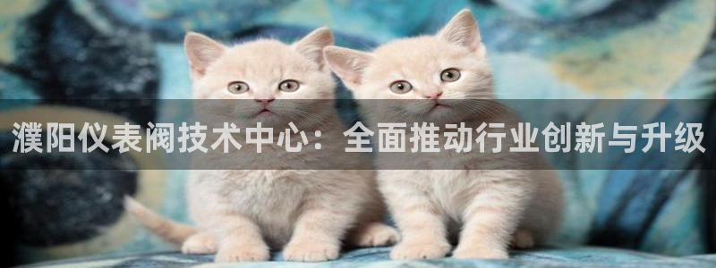 新宝gg刷流水