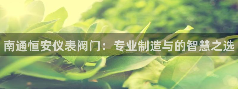 新宝gg 平台怎么样