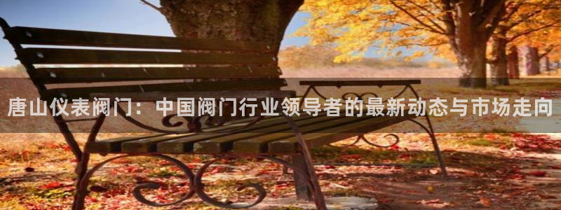 新宝太阳 gg