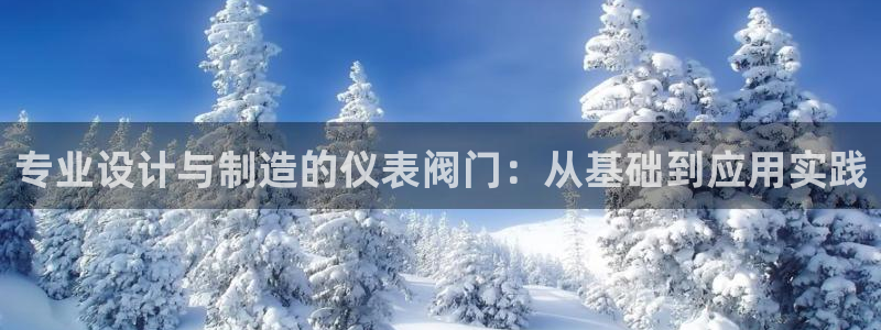 新宝GG速度