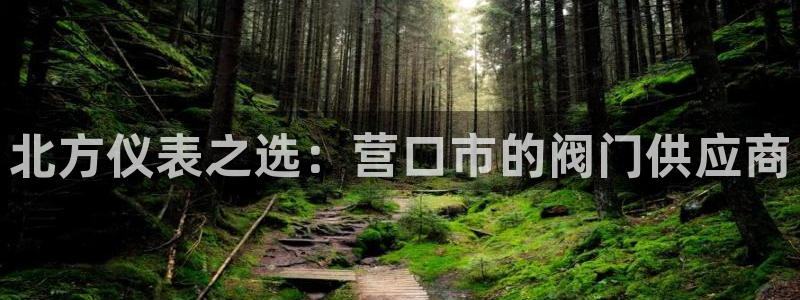 新宝gg正规