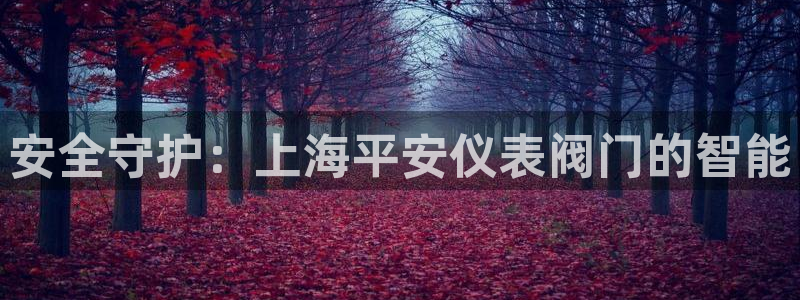 新宝gg直